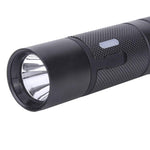 Explosion Proof Mini Inspection Torch Led