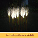 Led Fiber Reed Lamp Simulation Reed Lawn Landscape Outdoor Courtyard Lighting Project Luminous Plant Electricity Payment White Light